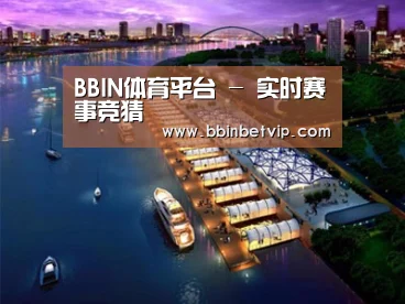 案例展示八