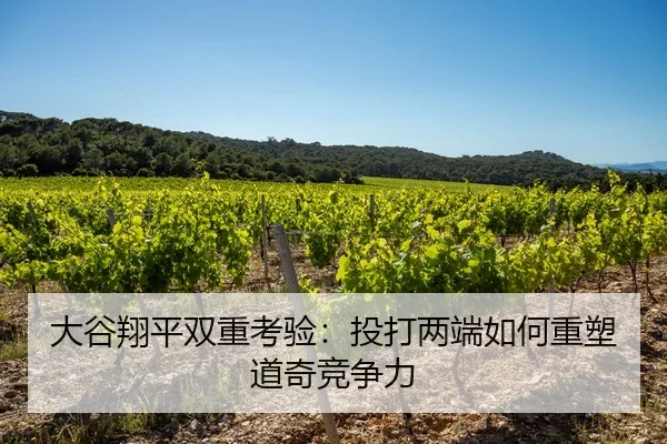 大谷翔平双重考验：投打两端如何重塑道奇竞争力