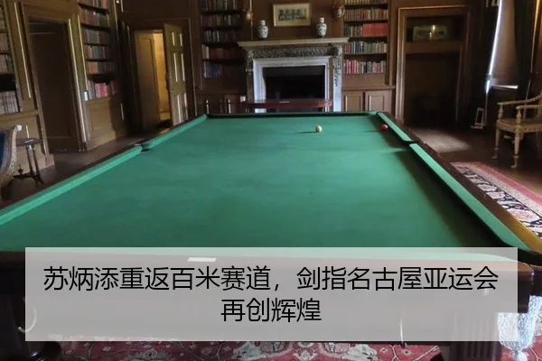 su-bing-tian-chong-fan-bai-mi-sai-dao-jian-zhi-ming-gu-wu-ya-yun-hui-zai-chuang-hui-huang-3-738.jpg