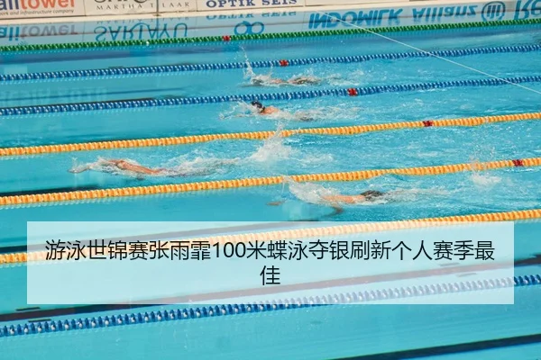 you-yong-shi-jin-sai-zhang-yu-fei-mi-die-yong-duo-yin-shua-xin-ge-ren-sai-ji-zui-jia-3-291.jpg