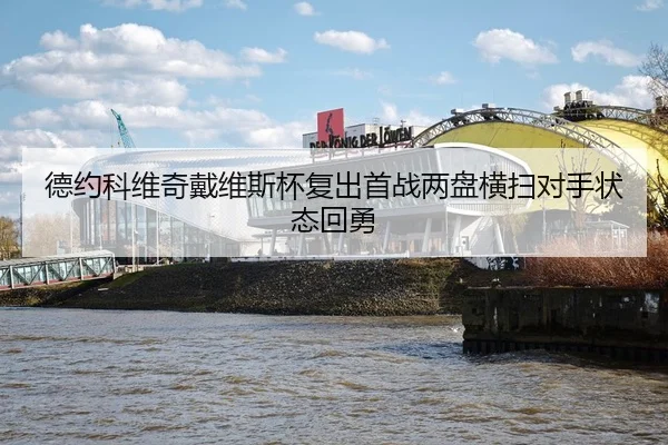 de-yue-ke-wei-qi-dai-wei-si-bei-fu-chu-shou-zhan-liang-pan-heng-sao-dui-shou-zhuang-tai-hui-yong-3-259.jpg