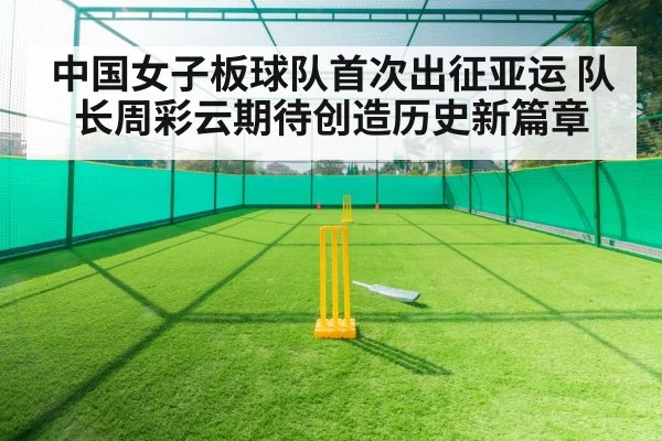 cricket training practice net
