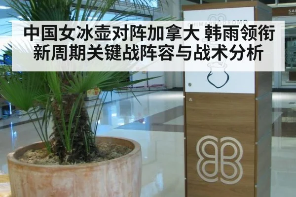 中国女冰壶对阵加拿大 韩雨领衔新周期关键战阵容与战术分析