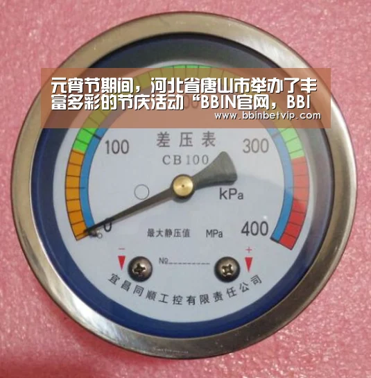 BBIN官网，BBIN体育，BBIN电子，BBIN下载