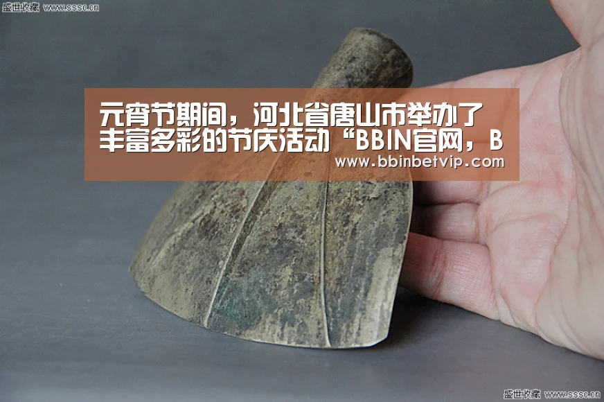 BBIN官网，BBIN体育，BBIN电子，BBIN下载
